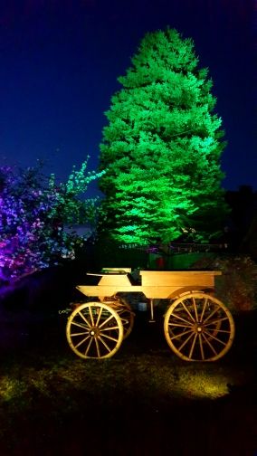 Customer photo review of TSUN RGB LED Separate Spot Light