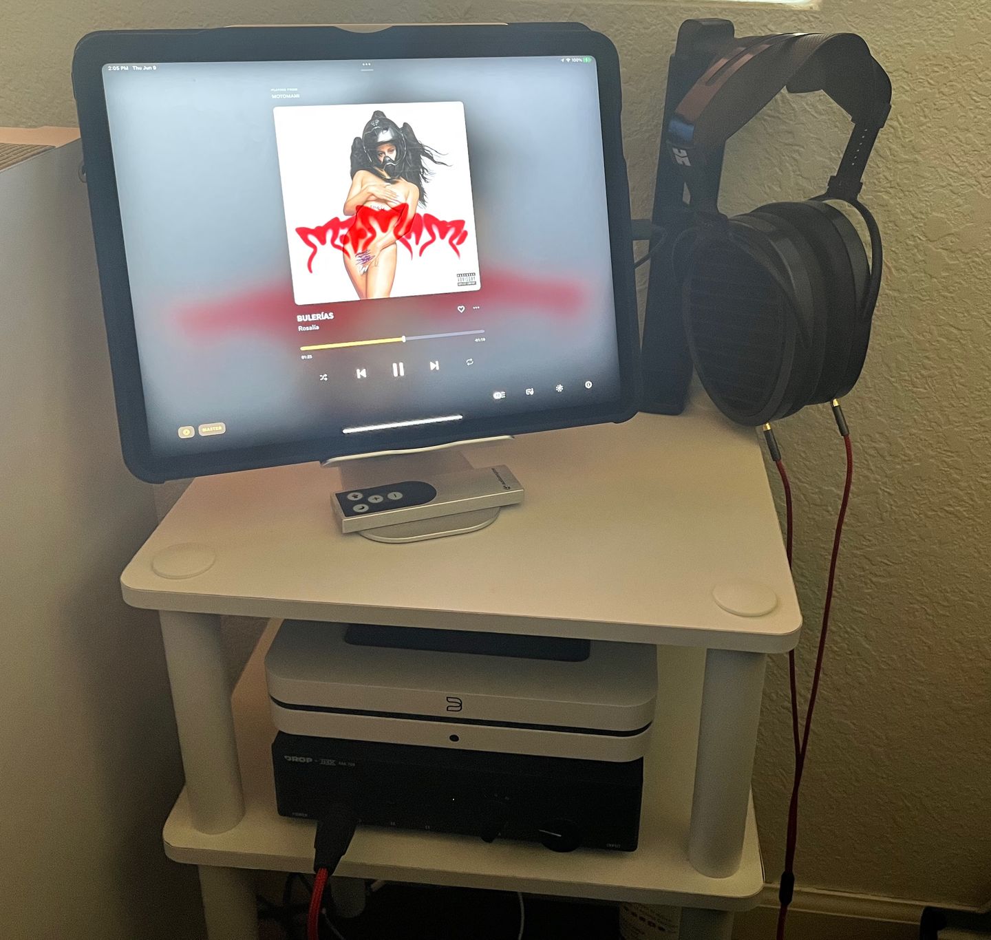 Customer photo review of Hifiman Arya Headphones | Stealth Magnets Edition