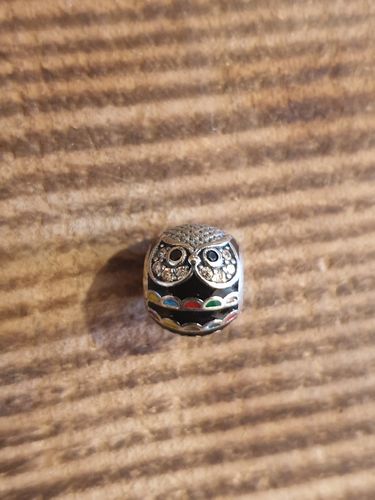 Customer photo review of 925 Sterling Silver Owl Charm