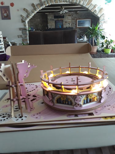 Customer photo review of Puzzle 3D | Carrousel Romantique Dream Version