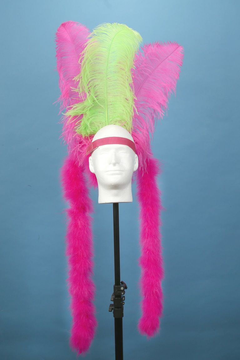 Customer photo review of Ostrich Wing Feathers | Ostrich Plumes
