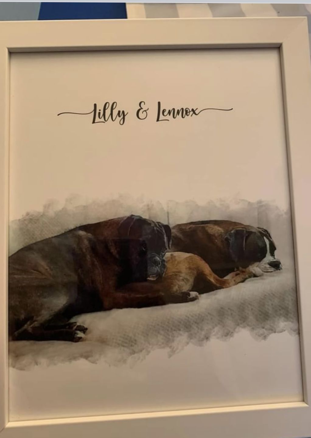 Customer photo review of Custom Pet Portrait