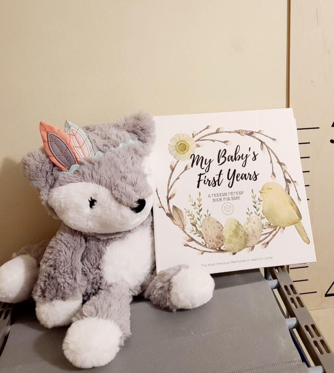 Customer photo review of Craft Baby First Years Memory Book