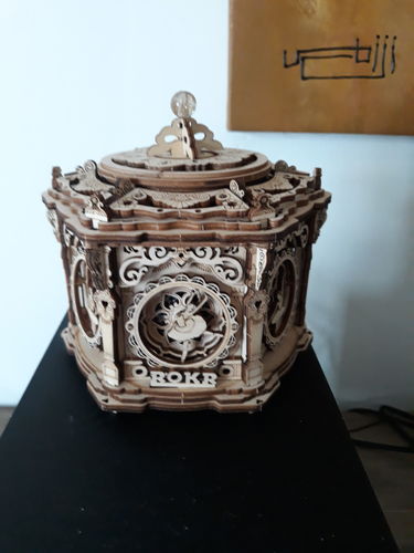 Customer photo review of Boîte Jardin Secret Musicale