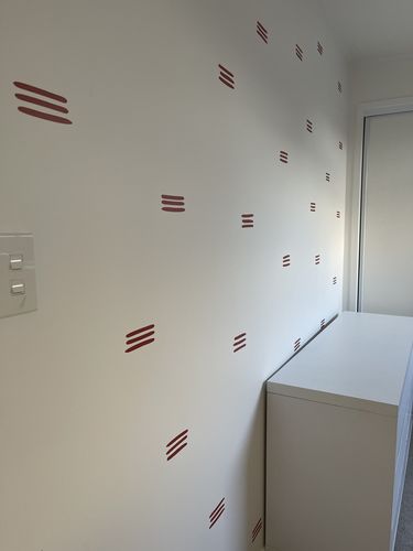 Customer photo review of Organic Stripes Decal Set