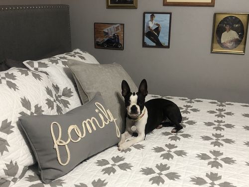 Customer photo review of Polkadog