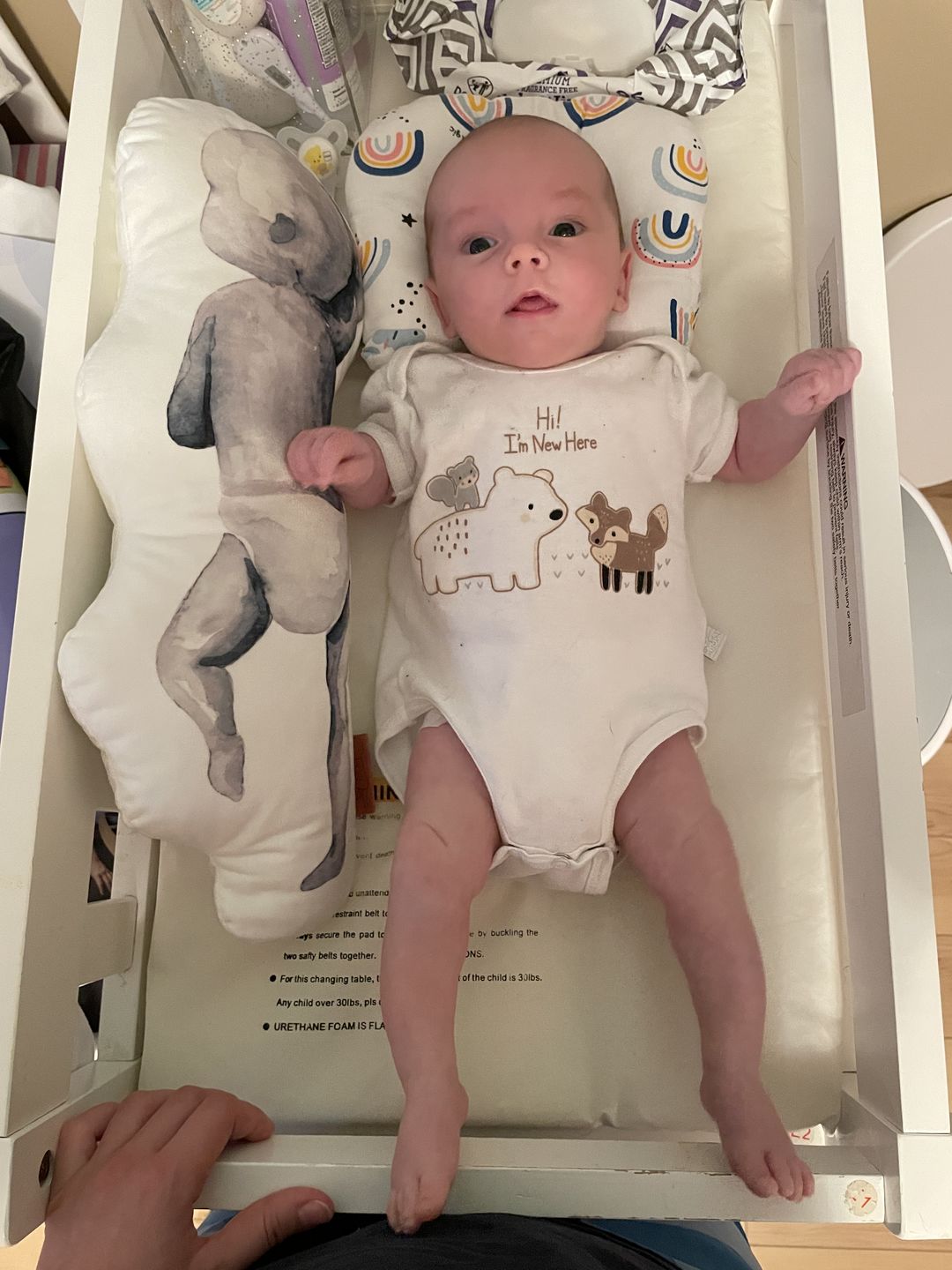 Customer photo review of Birth Pillow Watercolor Two