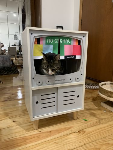 Customer photo review of Luxury Large Cat House Bed For Indoor Condo Shelter With Scratching Pads