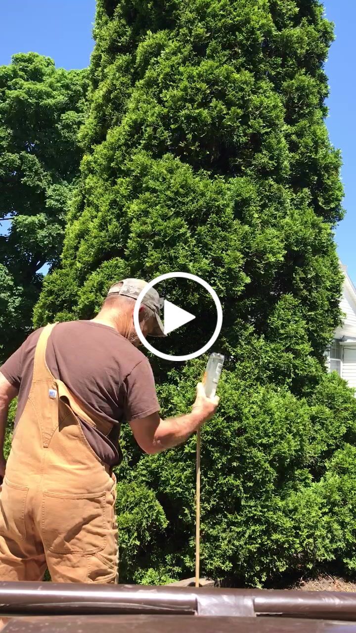Customer video review of 2 X 72 Inch Flexible Metalworking Sanding Belts, 6 Pack