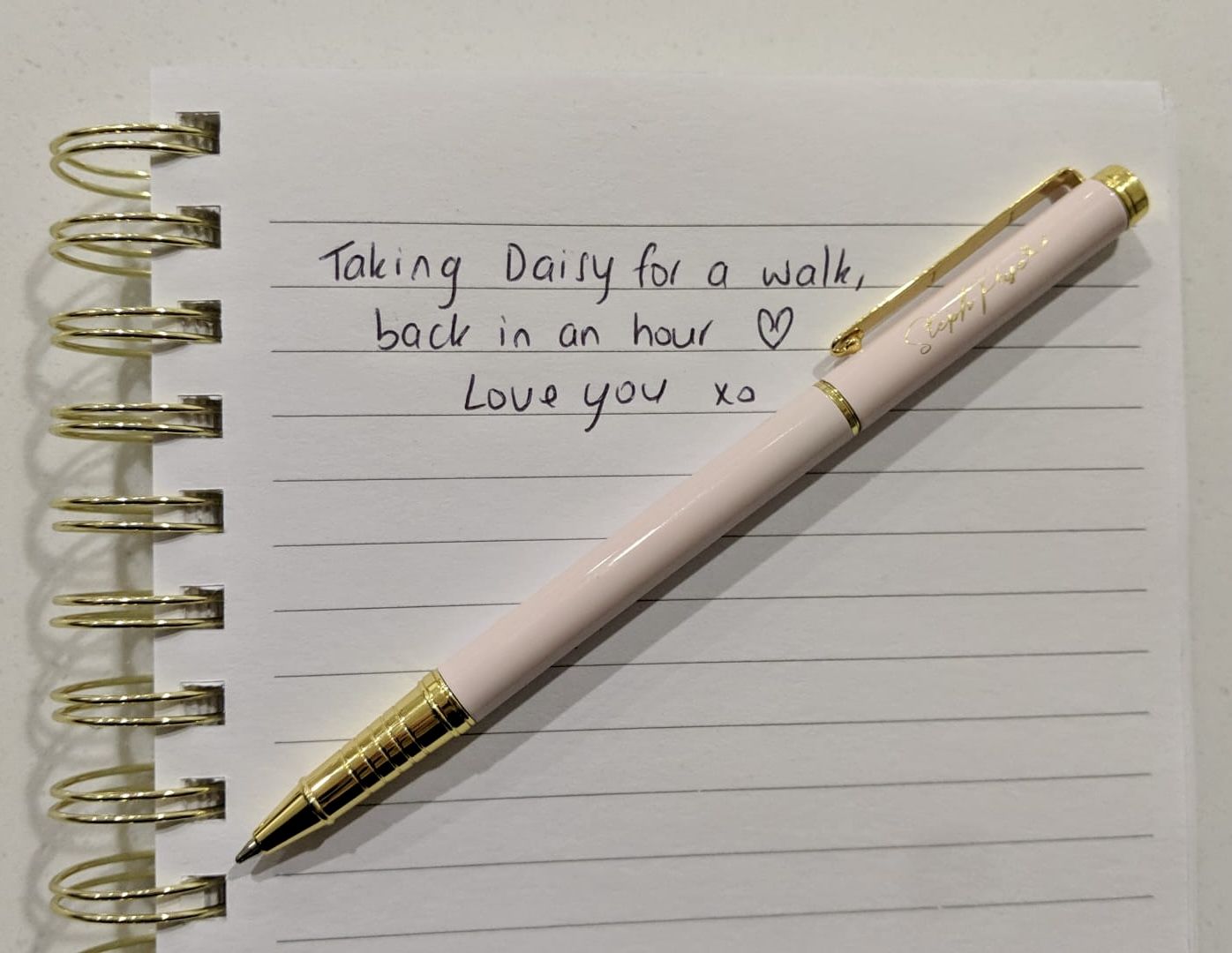 Customer photo review of The Essential Pen Pack GOLD