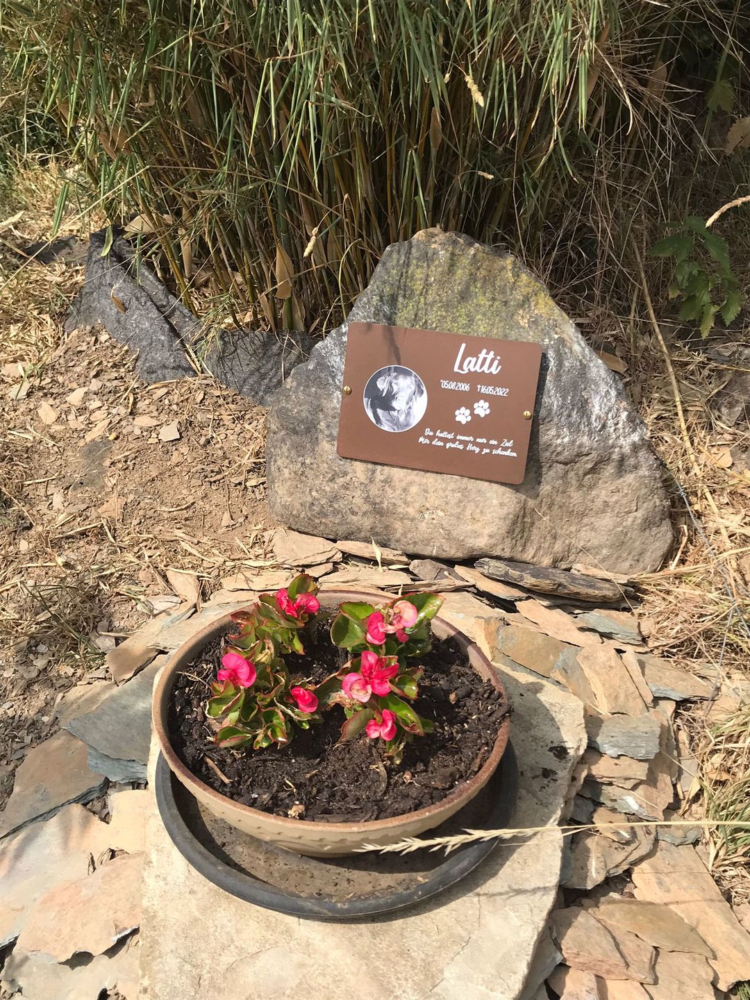 Customer photo review of Gedenktafel Hund - Lieblingshund