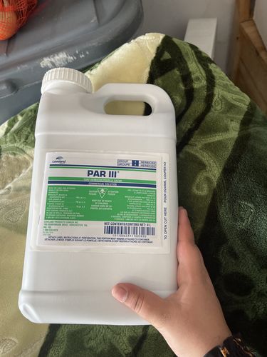 Customer photo review of Par 3 Lawn Weed Killer 4L