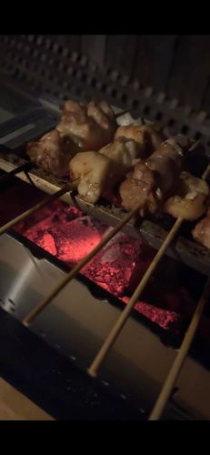 Customer photo review of YAK Hibachi Charcoal Grill