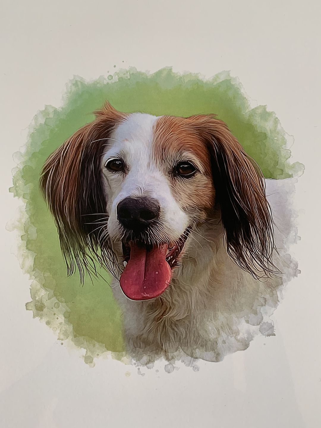 Customer photo review of Portrait deines Tieres im Wasserfarben-Stil