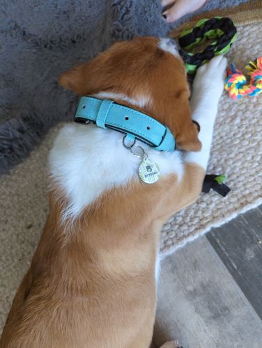 Customer photo review of Evergreen