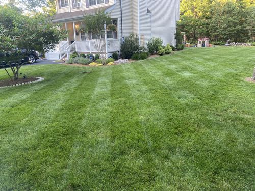 Customer photo review of The Five 0 Five