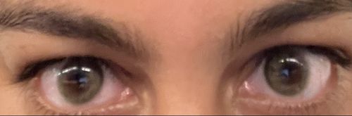 Customer photo review of Asa Green Contact Lenses(12 months wear)