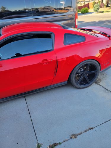 Customer photo review of THICC Suds