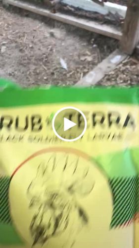 Customer video review of GrubTerra Dried Black Soldier Fly Larvae