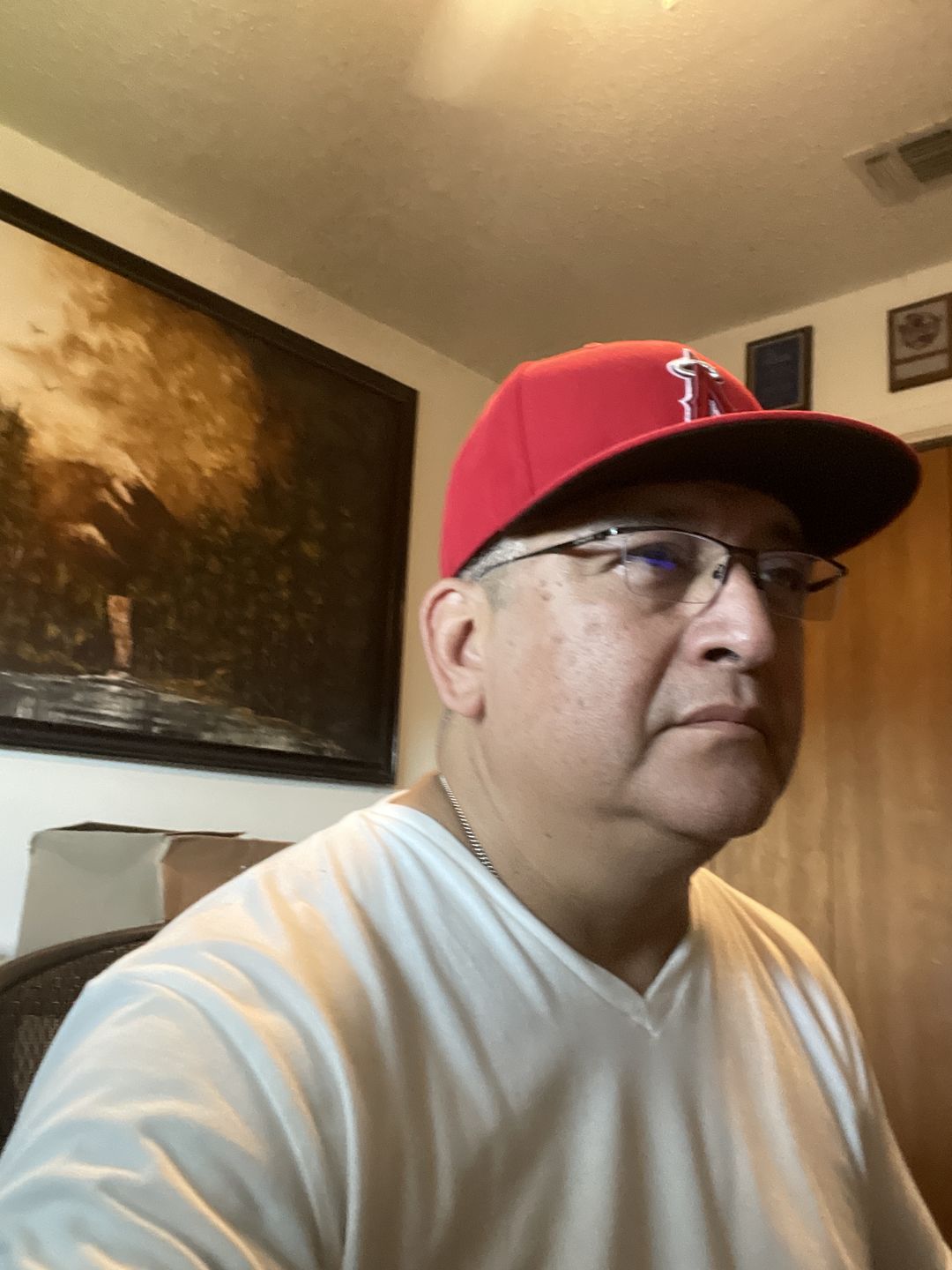 Customer photo review of Lumadux Anti Blue Light Glasses
