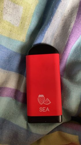 Customer photo review of Sea Air Disposable