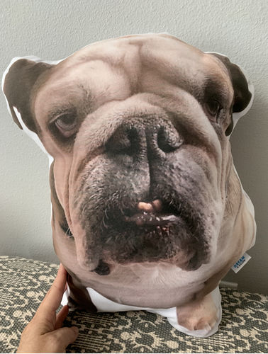 Customer photo review of Create A Custom Dog Pillow