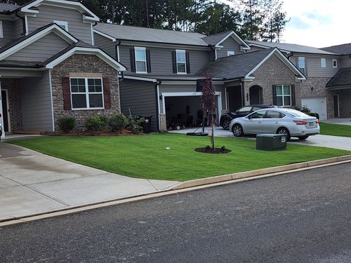 Customer photo review of N-Ext BioStimulant Package