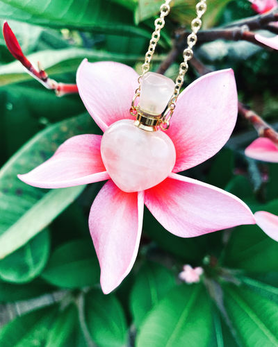 Customer photo review of Collier diffuseur de parfum en Améthyste / Quartz rose / Quartz fumé