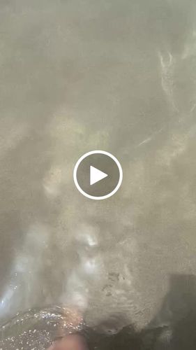 Customer video review of Double Layer Anklet
