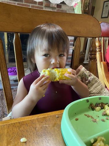 Customer photo review of Silicone Baby Bib | Beet
