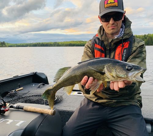 Customer photo review of Headbanger BangerRibs