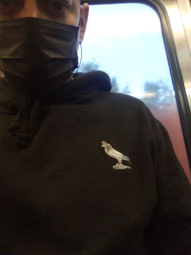 Customer photo review of Hoodie Palomo Reflex Negra