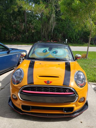 Customer photo review of Cartoon Blue Eyes Car Sunshade Custom Minions Eyes Cartoon Car Accessories Car Windshield