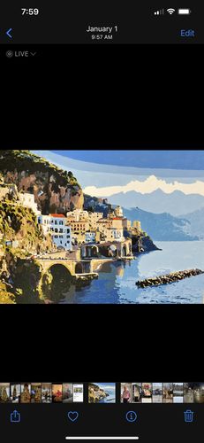 Customer photo review of Custom Paint by Numbers Kit