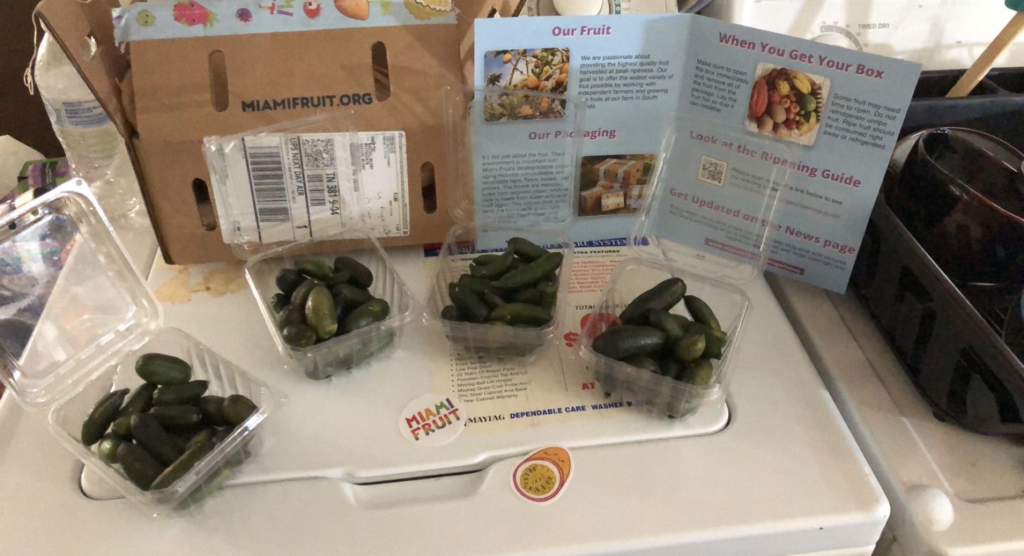 Customer photo review of Caviar Lime (Finger Lime) Box