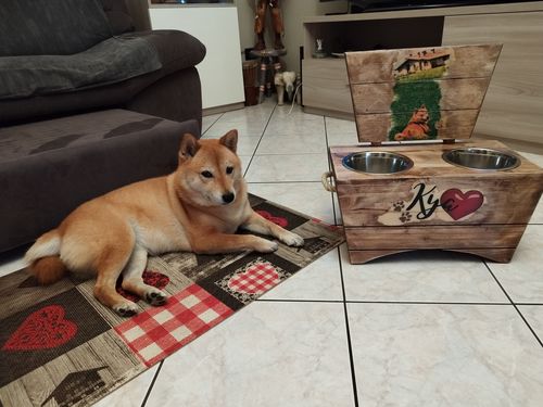 Customer photo review of Denver