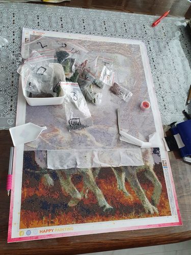 Customer photo review of Eigen Foto Diamond Painting