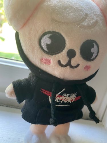 Customer photo review of Stray Kids x SKZOO "Victory" Pop Up MD (SKZ x SKZOO Character Options)