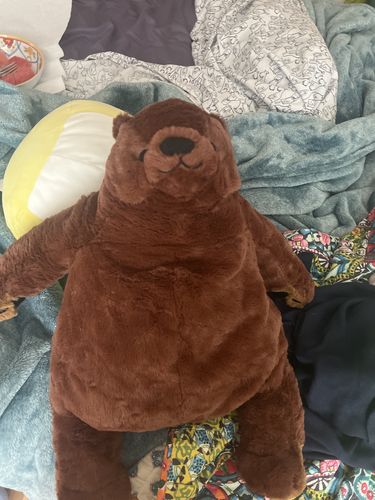 Customer photo review of SKOGGY BEAR