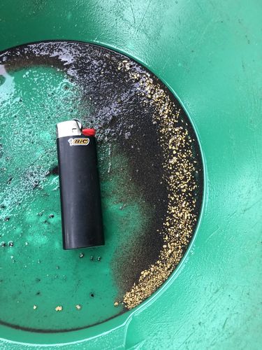 Customer photo review of Nugget Reserve 'MUSEUM SPECIMEN CHASE' - Gold Panning Paydirt Concentrate