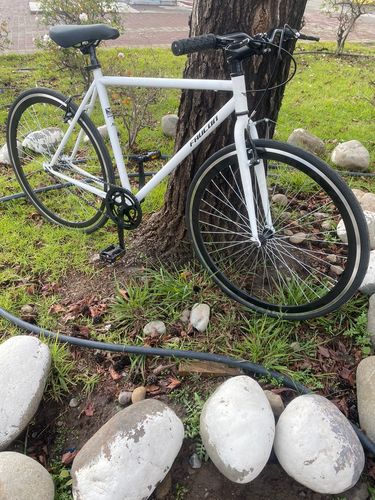Customer photo review of Bicicleta Urbana X3 Blanco Aro 28