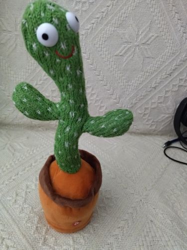 Customer photo review of Cactus Ballerino a ritmo di musica