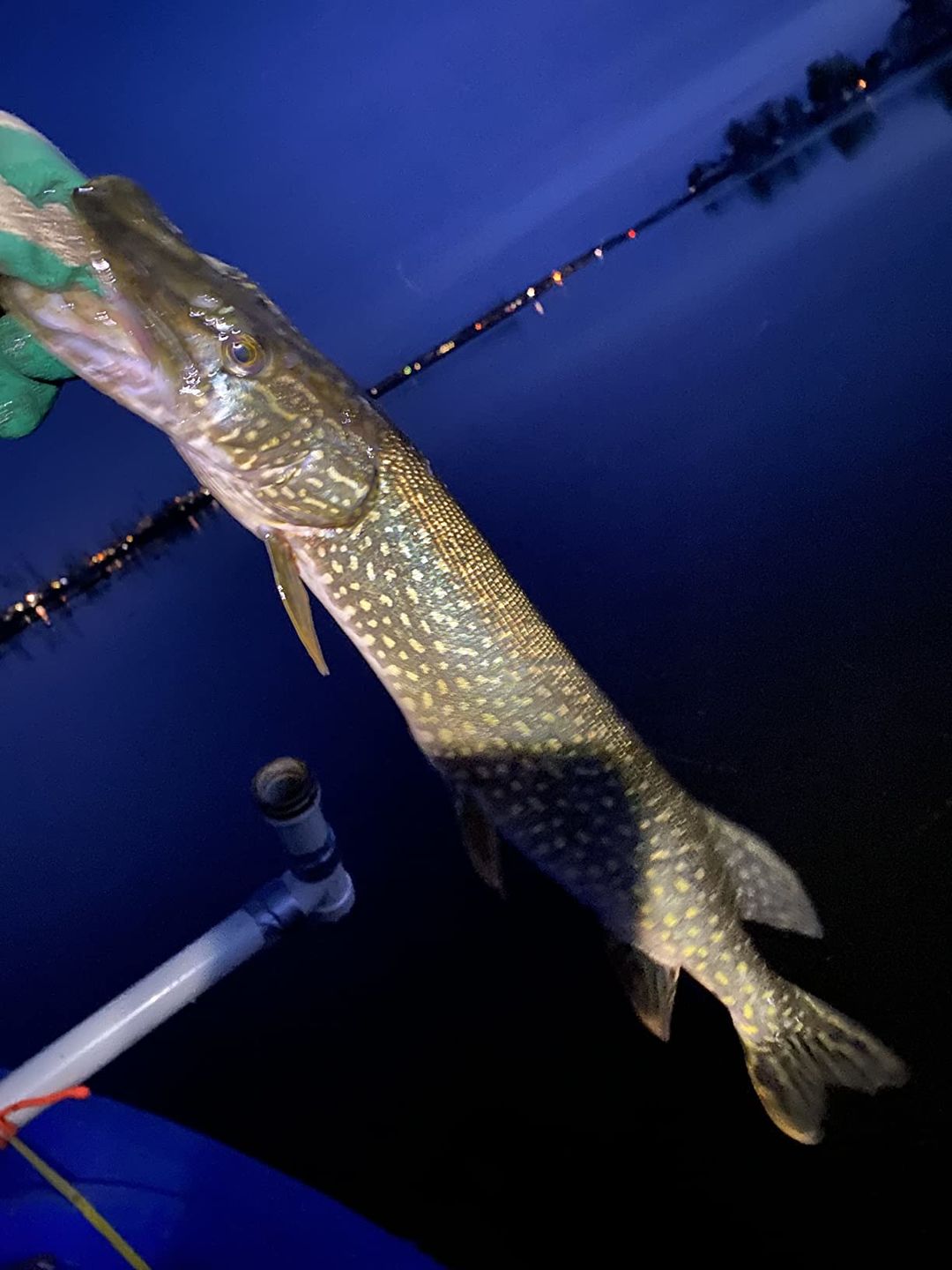 Customer photo review of TRUSCEND PoPobait with BKK Hooks, Top Water Whopper Plopper Fishing Lures for Bass Walleye Pike Catfish, Floating Lure for Freshwater or Saltwater Amazing Lures Fishing Gifts for Family Fishing [WM]