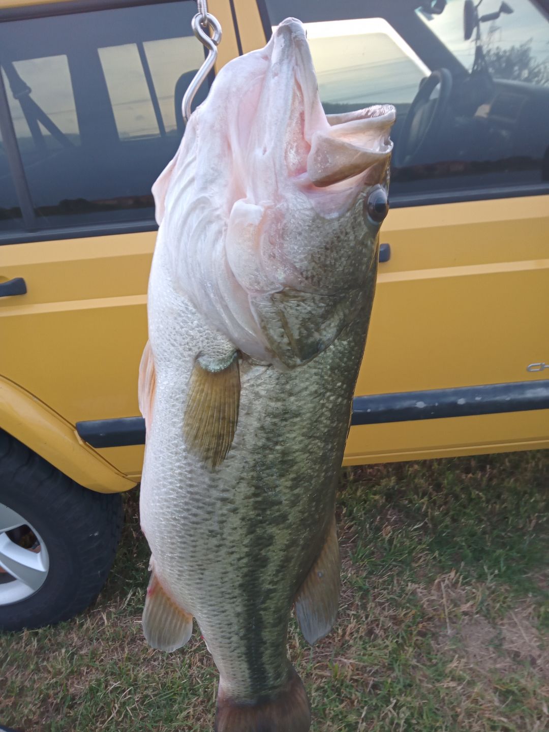 Customer photo review of TRUSCEND PoPobait with BKK Hooks, Top Water Whopper Plopper Fishing Lures for Bass Walleye Pike Catfish, Floating Lure for Freshwater or Saltwater Amazing Lures Fishing Gifts for Family Fishing [WM]