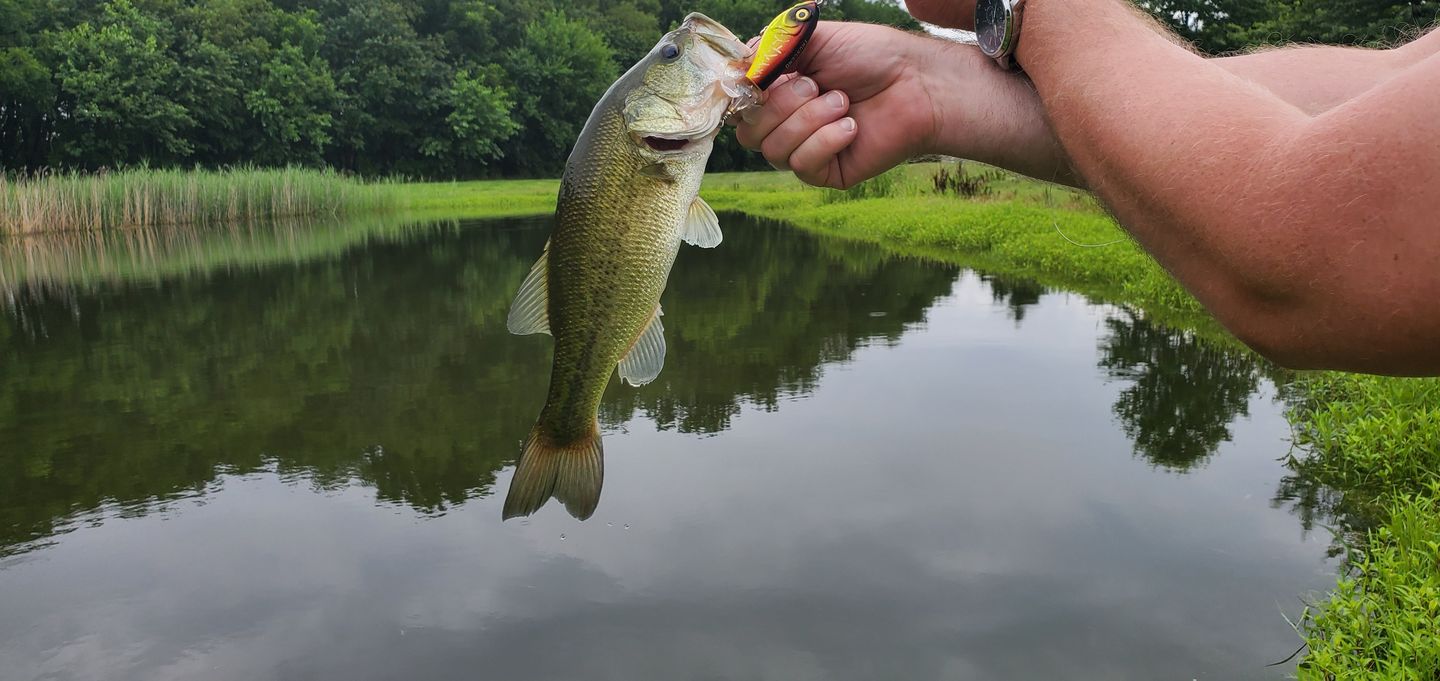 Customer photo review of TRUSCEND PoPobait with BKK Hooks, Top Water Whopper Plopper Fishing Lures for Bass Walleye Pike Catfish, Floating Lure for Freshwater or Saltwater Amazing Lures Fishing Gifts for Family Fishing [WM]