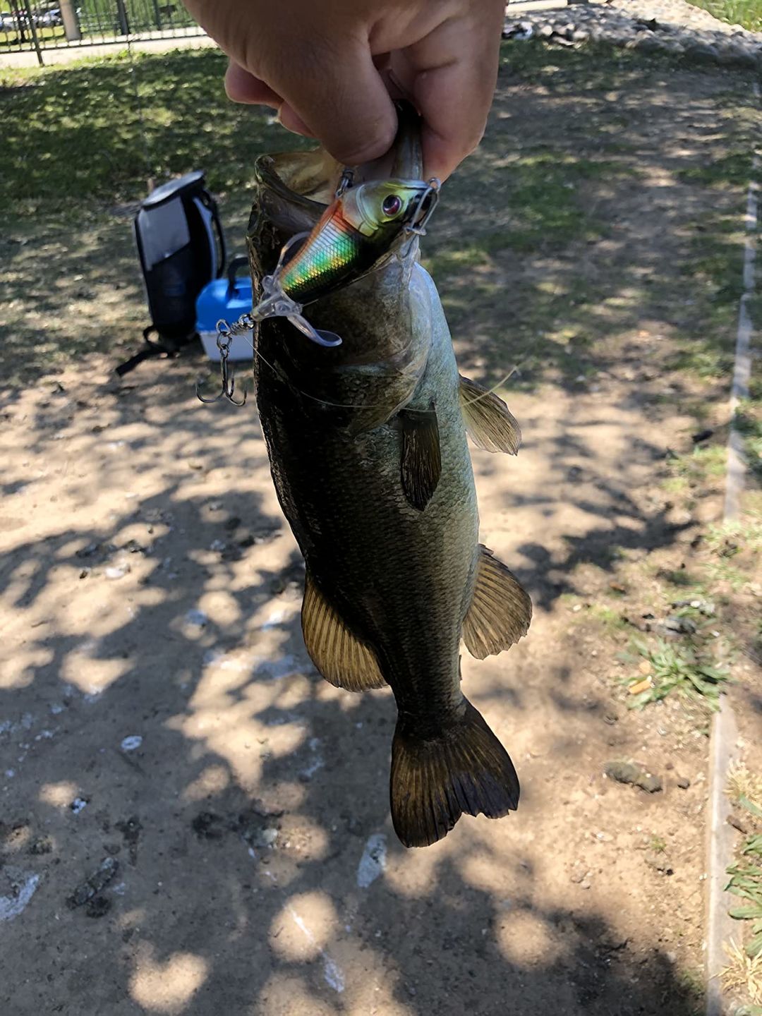Customer photo review of TRUSCEND PoPobait with BKK Hooks, Top Water Whopper Plopper Fishing Lures for Bass Walleye Pike Catfish, Floating Lure for Freshwater or Saltwater Amazing Lures Fishing Gifts for Family Fishing [WM]