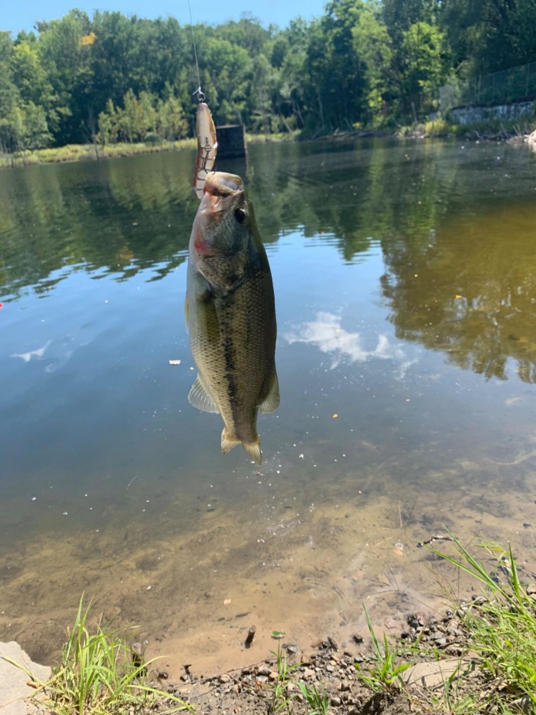 Customer photo review of Swimmax Fishing Lure | Eight-Segmented | BKK Hook |  Easy Catch | Rattling with Noise | Heavy-Duty Dyneema Fiber Joint | Jointed Swimbait for Bass & Trout & Crappie