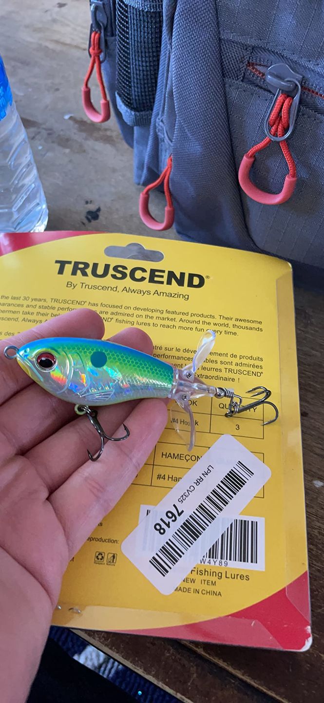 Customer photo review of TRUSCEND PoPobait with BKK Hooks, Top Water Whopper Plopper Fishing Lures for Bass Walleye Pike Catfish, Floating Lure for Freshwater or Saltwater Amazing Lures Fishing Gifts for Family Fishing [WM]