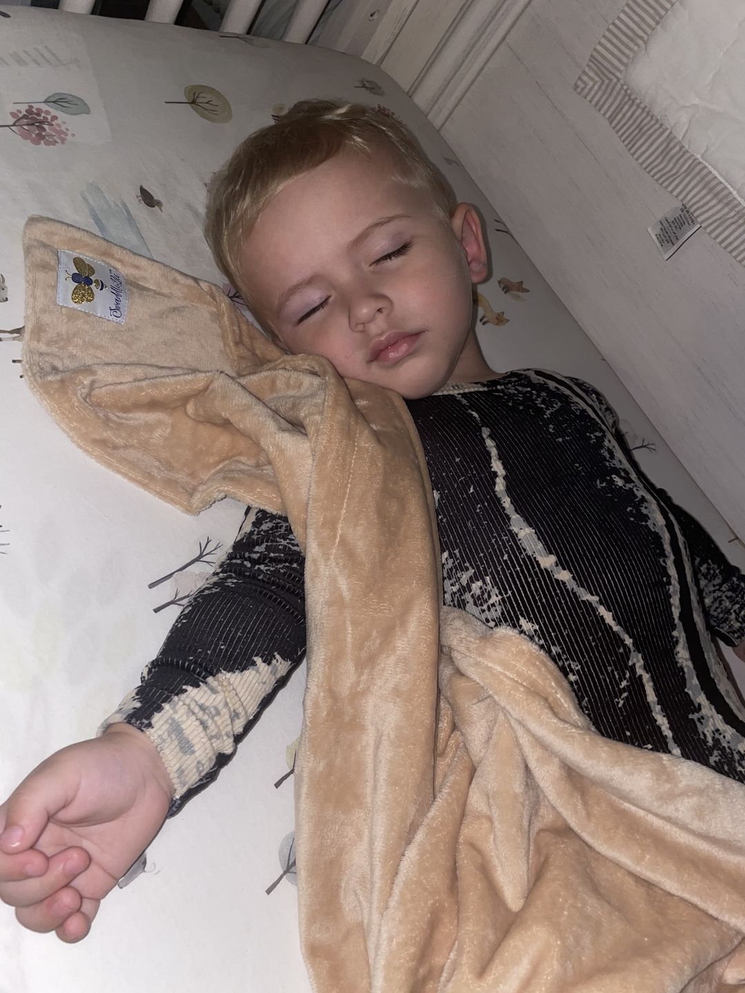 Customer photo review of BiggerBee Throw Blanket Solid Camel
