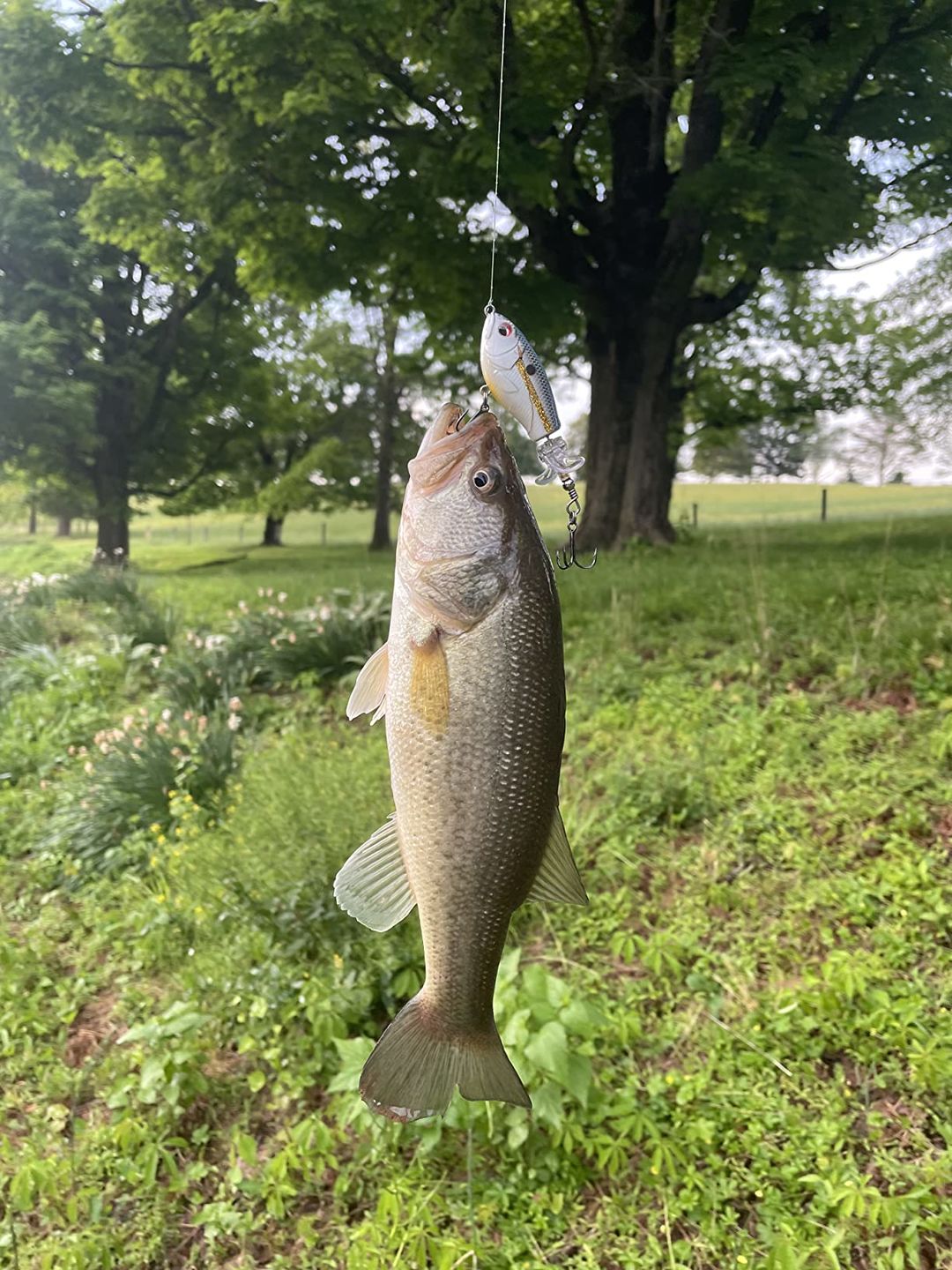Customer photo review of TRUSCEND PoPobait with BKK Hooks, Top Water Whopper Plopper Fishing Lures for Bass Walleye Pike Catfish, Floating Lure for Freshwater or Saltwater Amazing Lures Fishing Gifts for Family Fishing [WM]